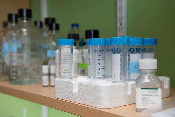 Lab sample vials in a holder with bottles blurry in the background