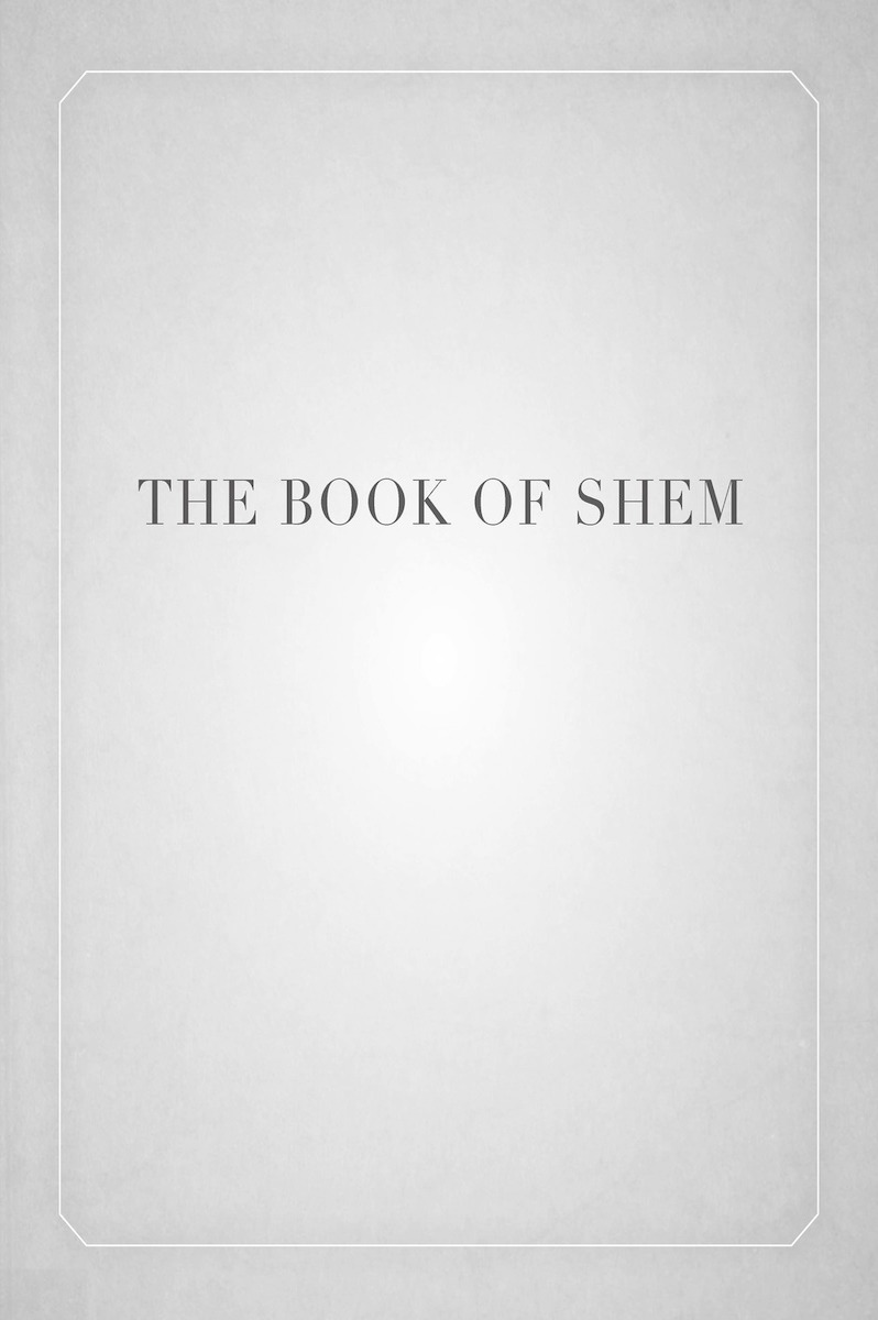 Book cover for The Book of Shem by David Kishik
