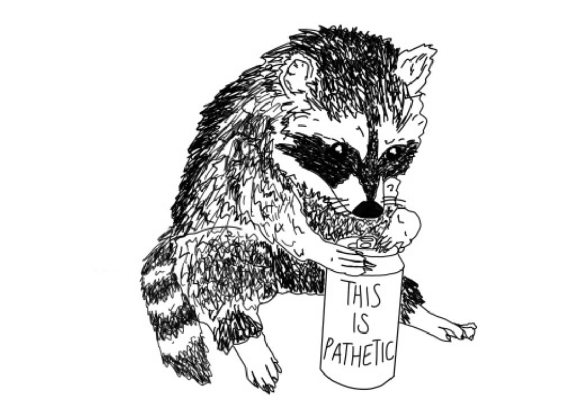 Image of drawn raccoon holding soda can that says This is Pathetic