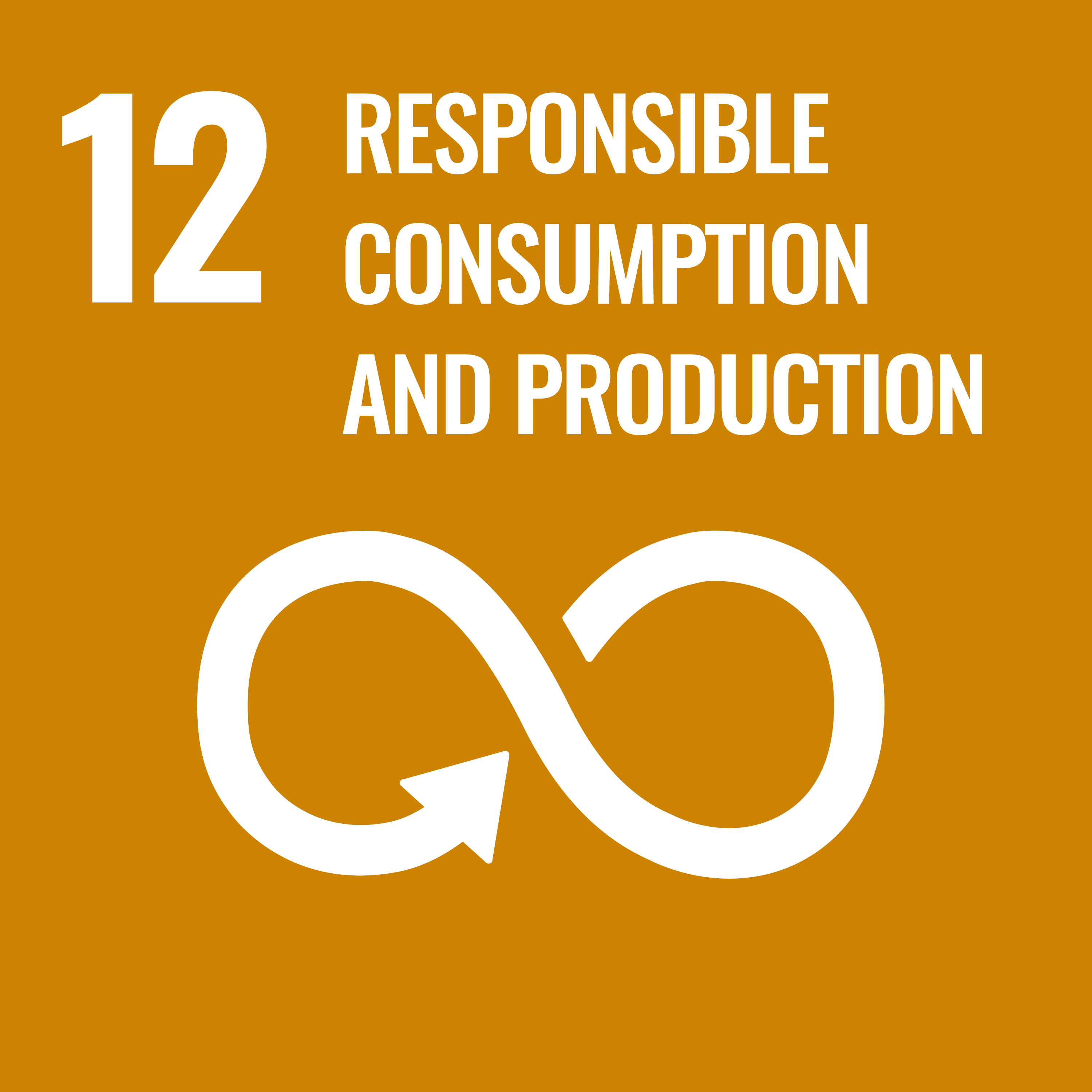 A yellow icon depicting an infinity symbol and the text "12: Responsible consumption and production"