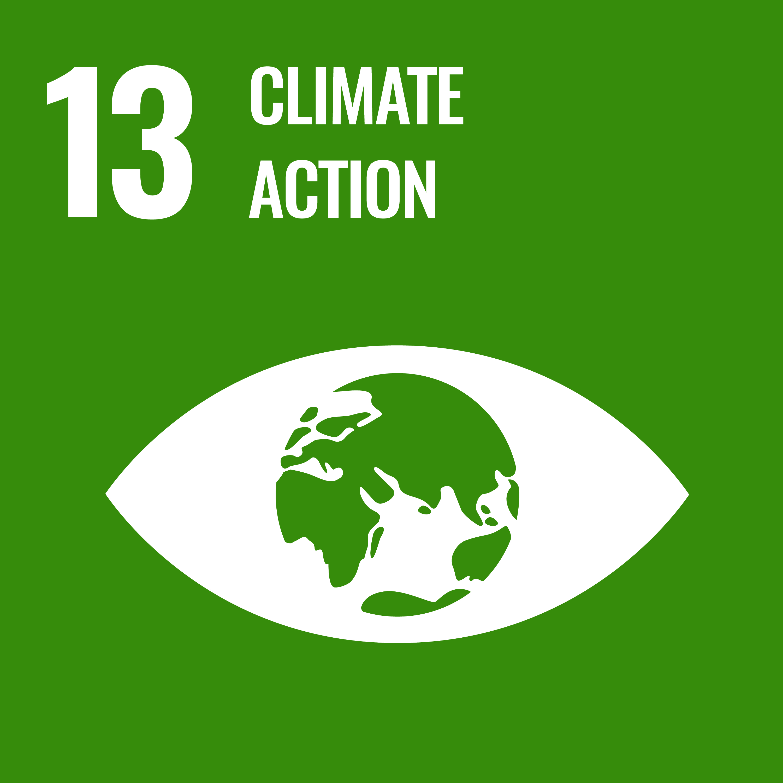 A green icon depicting the earth in an eyeball and the text "13: climate action"