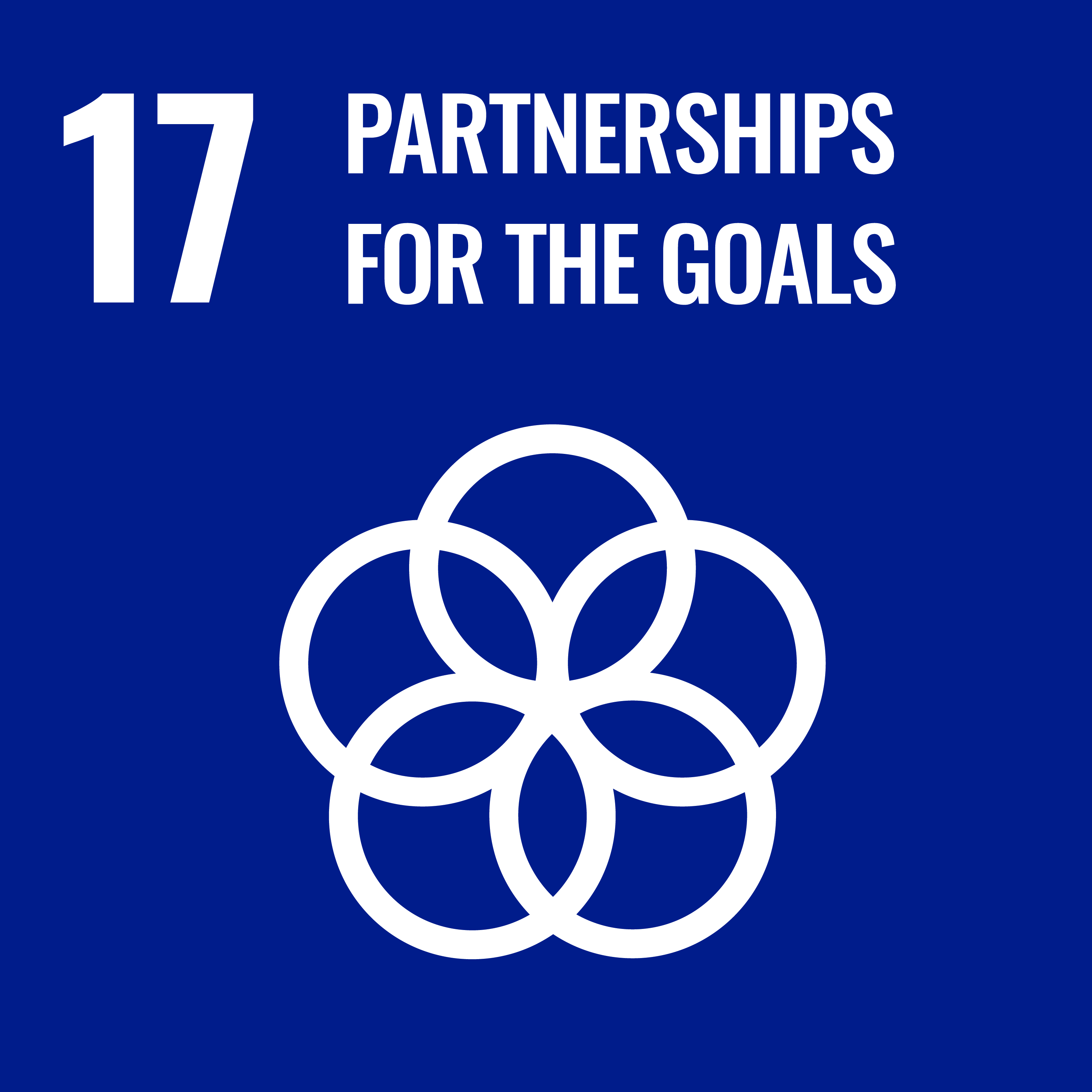 A blue graphic depicting interwoven circles and the text "17: Partnerships for the goals"