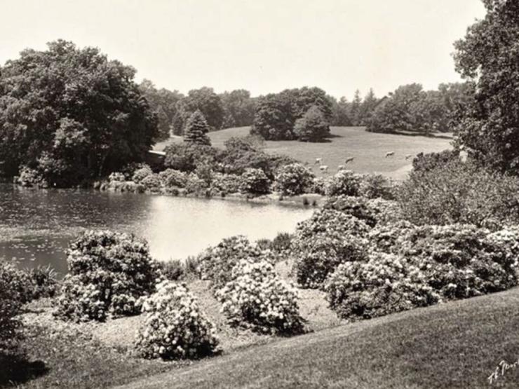 Lessons from the Mud: Finding Stories of our Changing Landscape