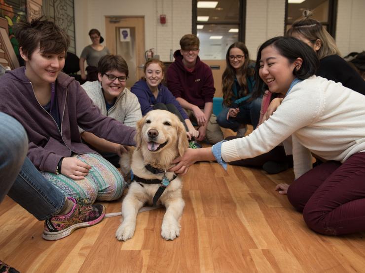 Students play with therapy dog at Cirque de Stress event