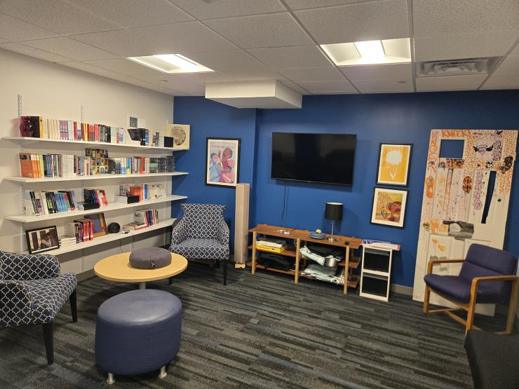 The HIVE office, a cozy common room features a large blue accent wall with a mounted television and several framed pictures, including a colorful abstract painting on an old door. White shelves filled with books line another wall. The room is furnished with a mix of armchairs, a coffee table, and an ottoman, all on a patterned blue and gray carpet.
