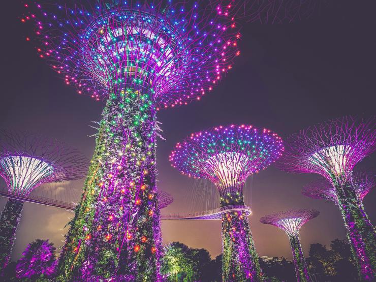 Supertree Grove in Singapore, 50 meter vertical gardens bright with multicolor lights