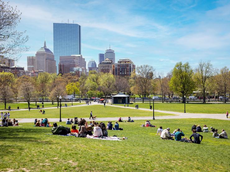 People gathered on Boston Common on a bright sunny day, comfortably lounging on the grass