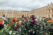 Flower garden with blurred building in the background