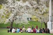 Students sitting in group near bandstand at Boston Commons