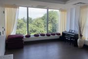 open room with large windows overlooking a park with trees
