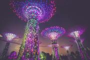 Supertree Grove in Singapore, 50 meter vertical gardens bright with multicolor lights