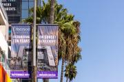 Banners hang from a streetlight advertising Emerson College on Sunset Boulevard. Palm trees and a modern building are visible against a clear blue sky. The scene feels bright and urban, typical of a Southern California street.