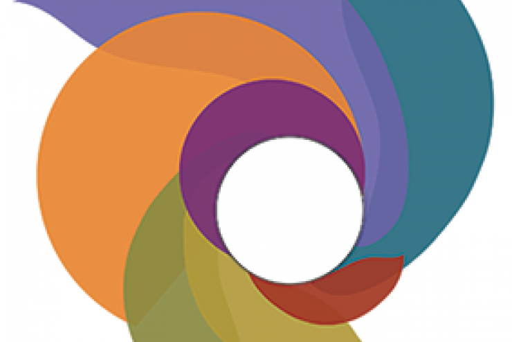 Emerson 360 logo, circular flower with different colored petals