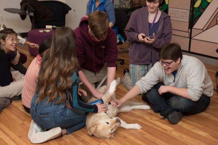 group of students interact with therapy dog