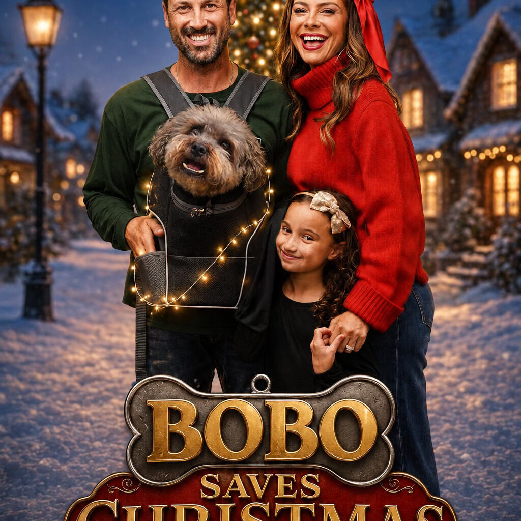 Bobo Saves Christmas poster