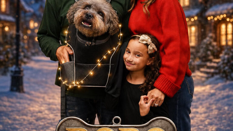 Bobo Saves Christmas poster