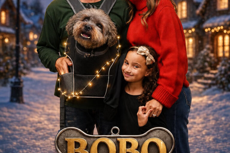 Bobo Saves Christmas poster