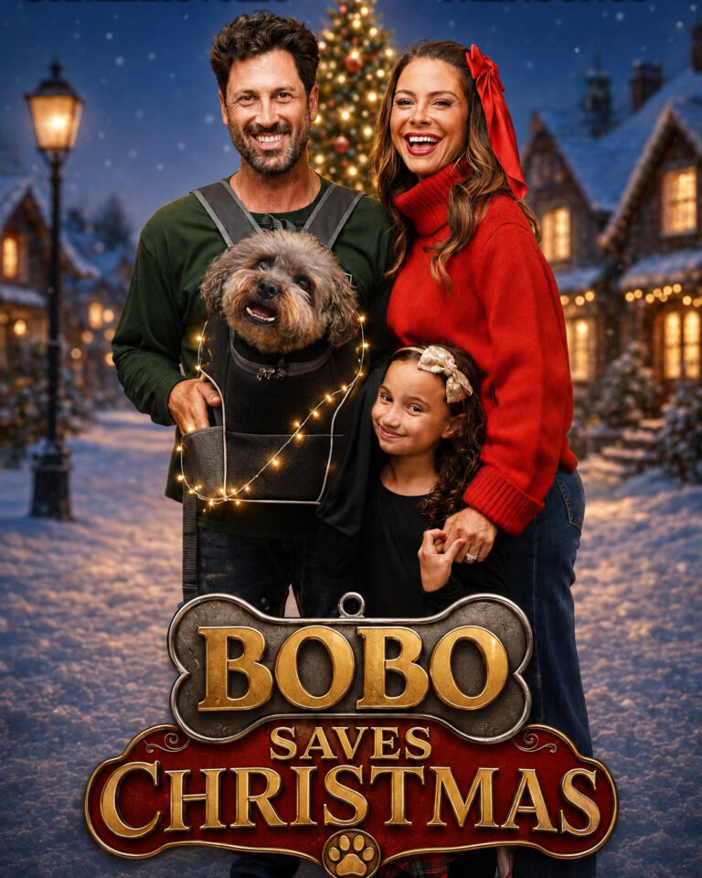 Bobo Saves Christmas poster
