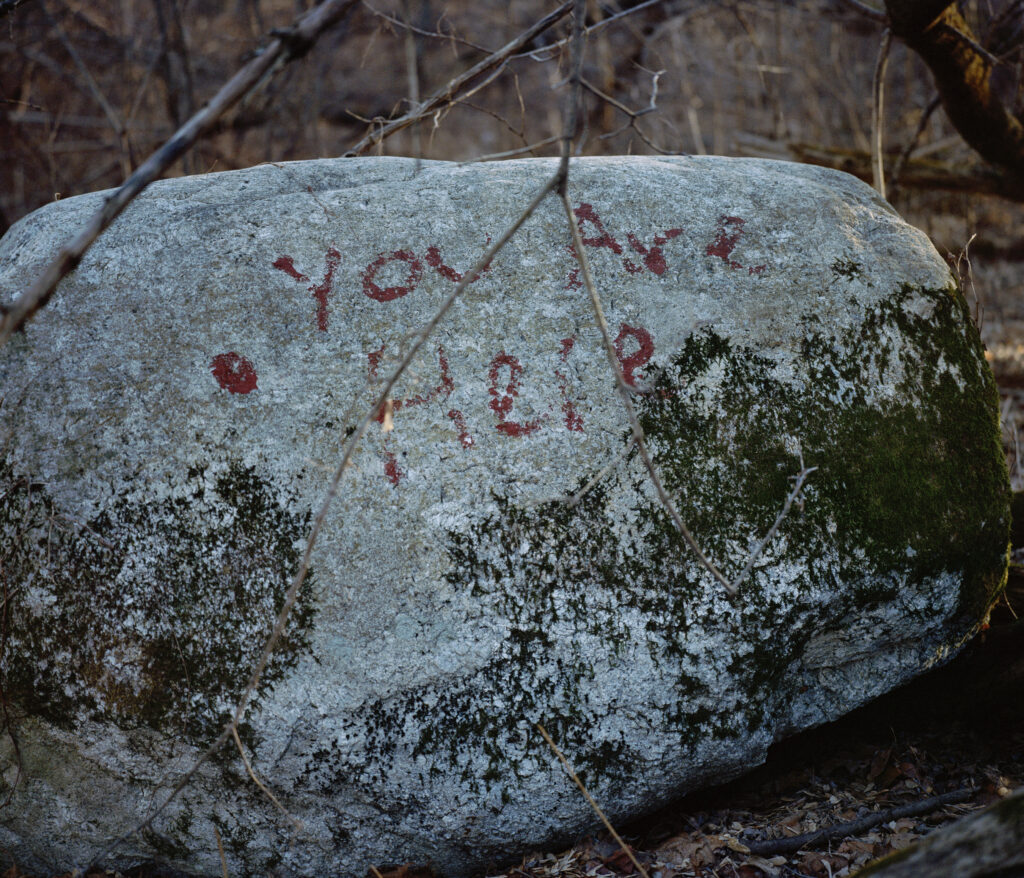 A rock says: You are here