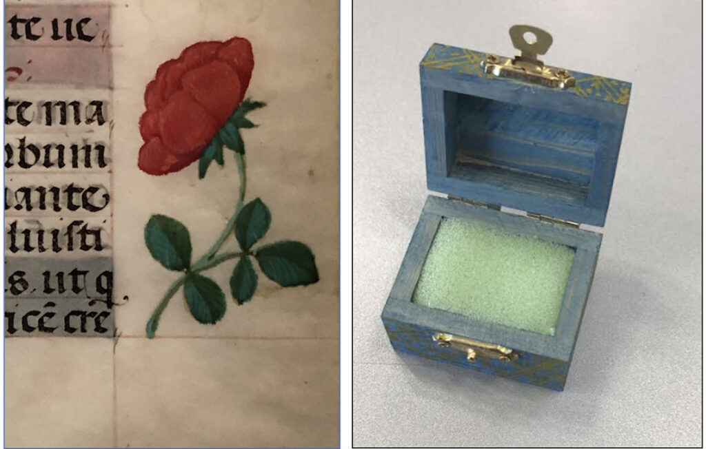 drawing of rose in medieval manuscript on left, wooden box containing a sponge on the right