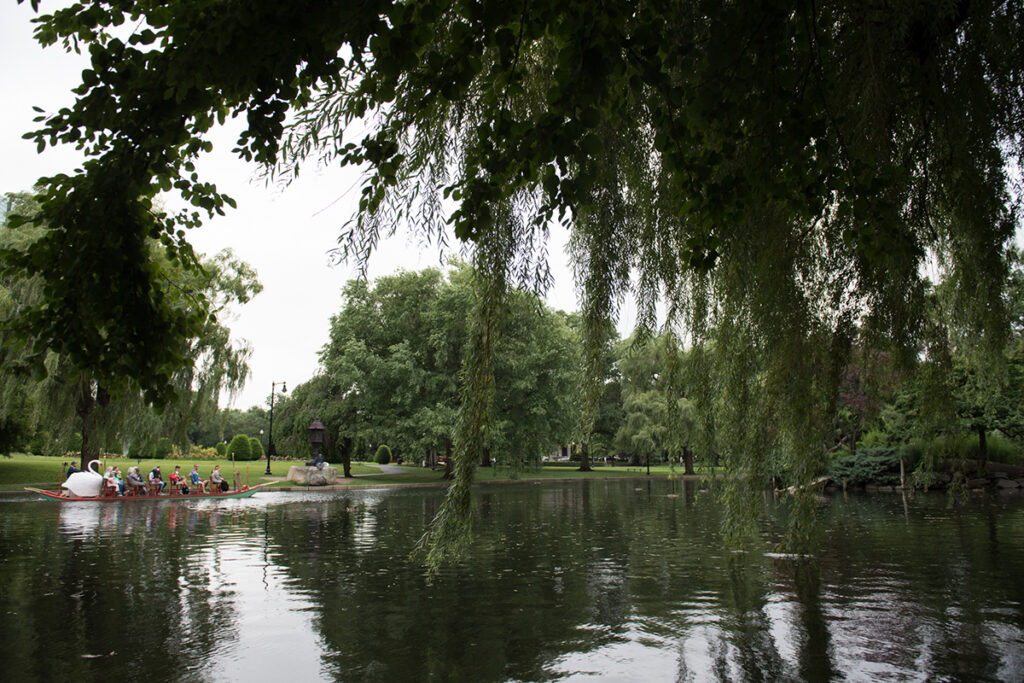 glimpse of swan boat on public garden pond through trees