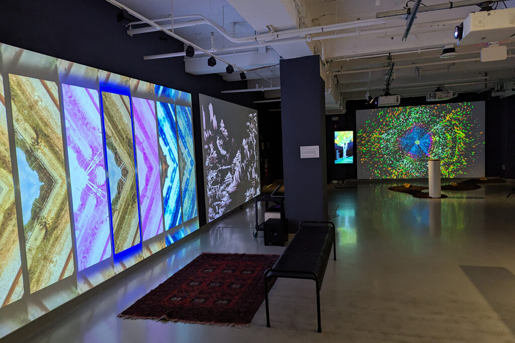 Digital screens showing colorful patterns in a gallery