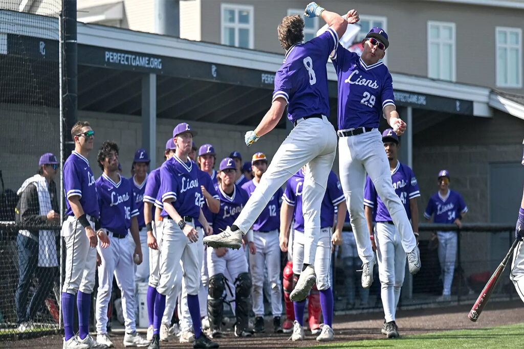 Two baseball players jump in the air while teammates stand back and watch
